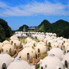 [출발확정][도란도란 간사이] 오사카/교토/아라시야마/와카야마/시라하마 온천 3일(전일/토레토레빌리지/고양이열차/4대특식)