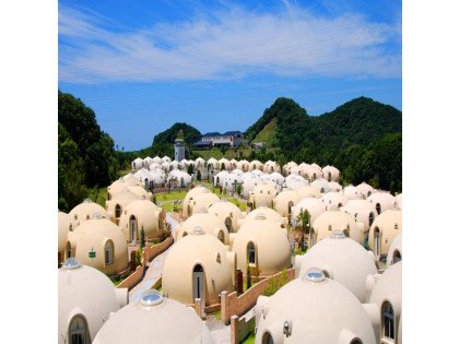 [출발확정][도란도란 간사이] 오사카/교토/아라시야마/와카야마/시라하마 온천 3일(전일/토레토레빌리지/고양이열차/4대특식)